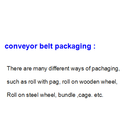 EP Conveyor Belt Packaging11.jpg